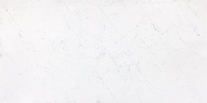 Carrara Nuovo V509 Slabs image