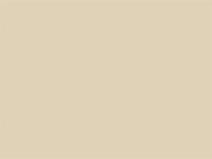 Avorio Saltinado Slabs image