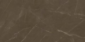 Gris Pulpis (59x59) Tiles image