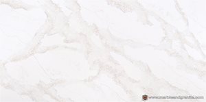 Golden Scribe V819 Slabs image