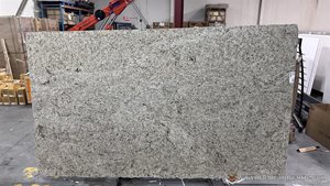 Giallo Ornamental Premium Slabs image