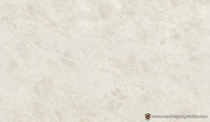 Braewind V851 image