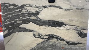 Calacatta Mirage Slabs image