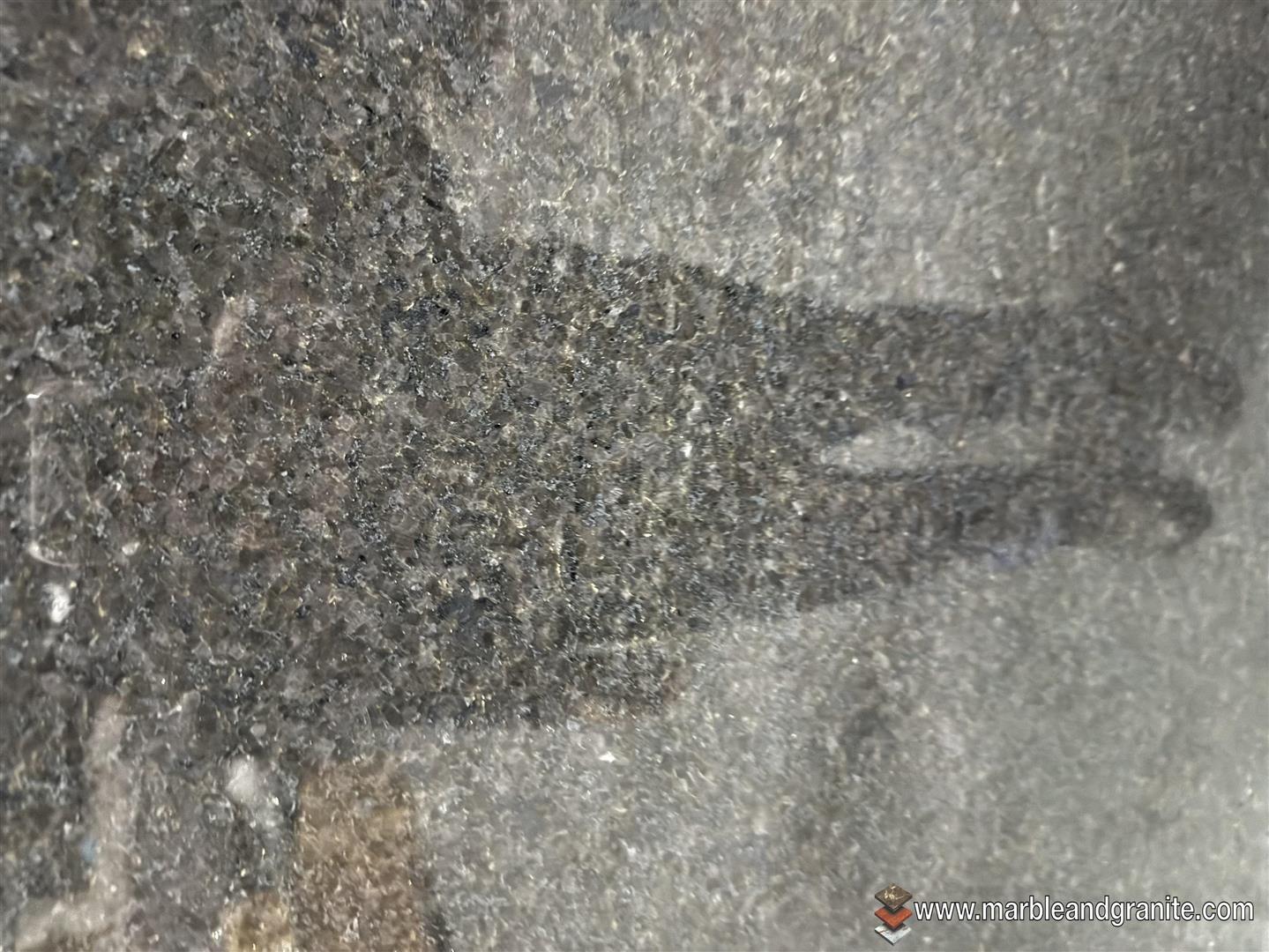 >Detail View