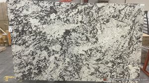 Delicatus Slabs image