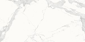 Estatuario E05 Slabs image