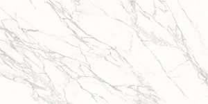 Calacatta Neolith C01 Slabs image