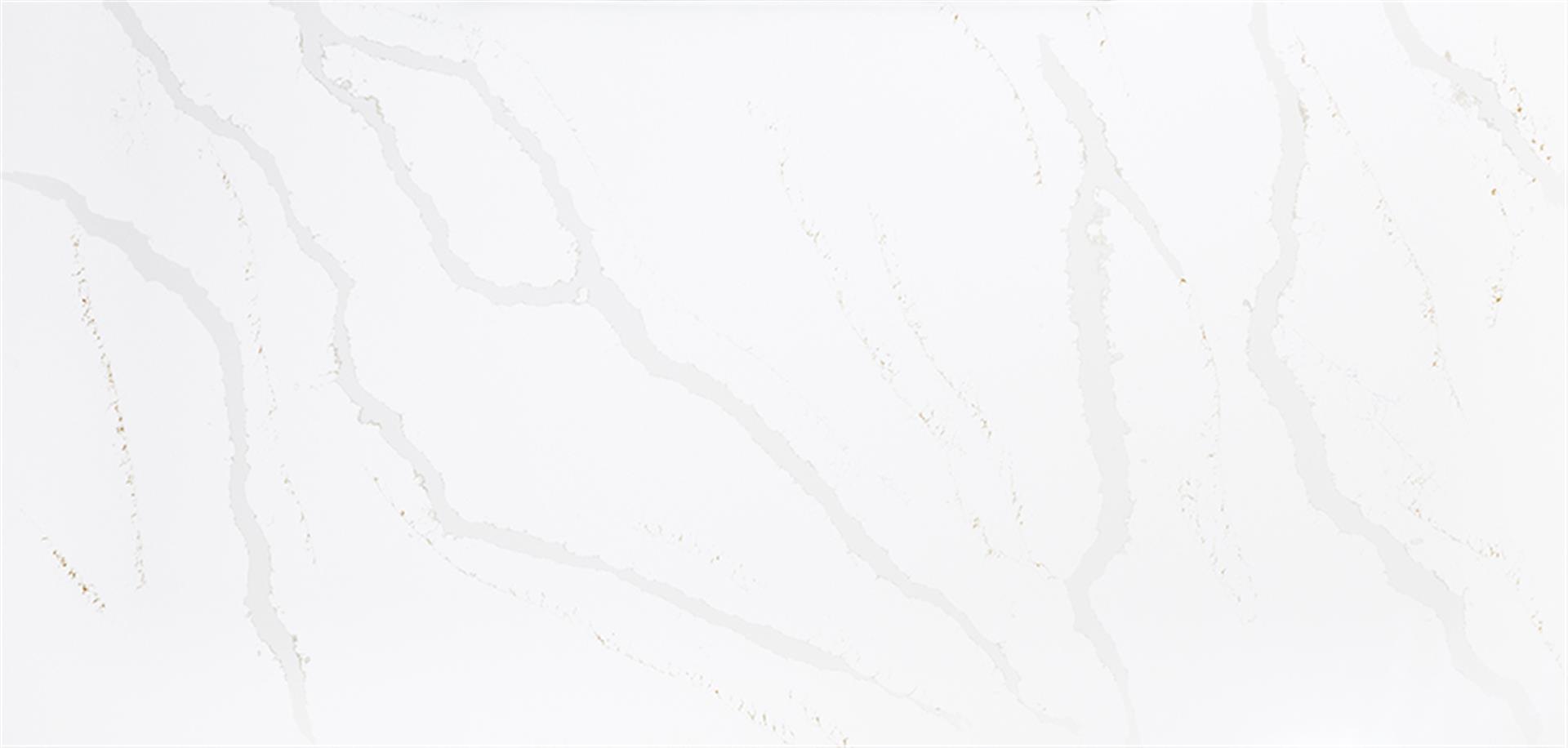 >Main View